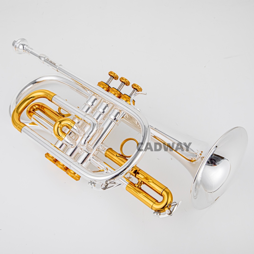 Musical Instrument Cornet - Trompeta Cornet Bb de Alta Calidad