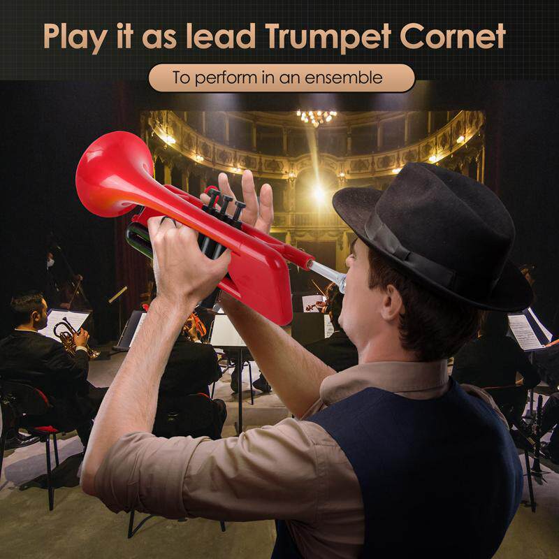 Corneta en Si Bemol, Instrumen - Musical Instrument Cornet reseña y precio
