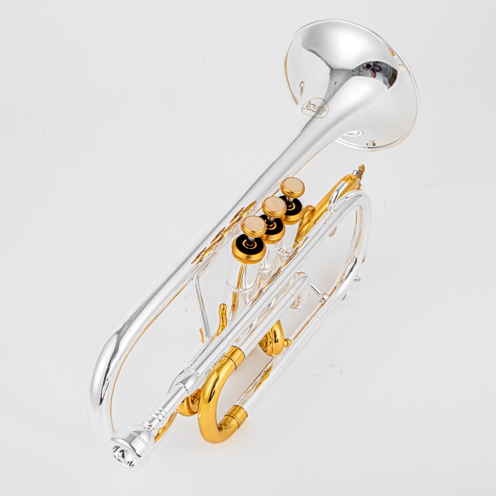 Trompeta Cornet Bb de Alta Cal - Musical Instrument Cornet reseña y precio