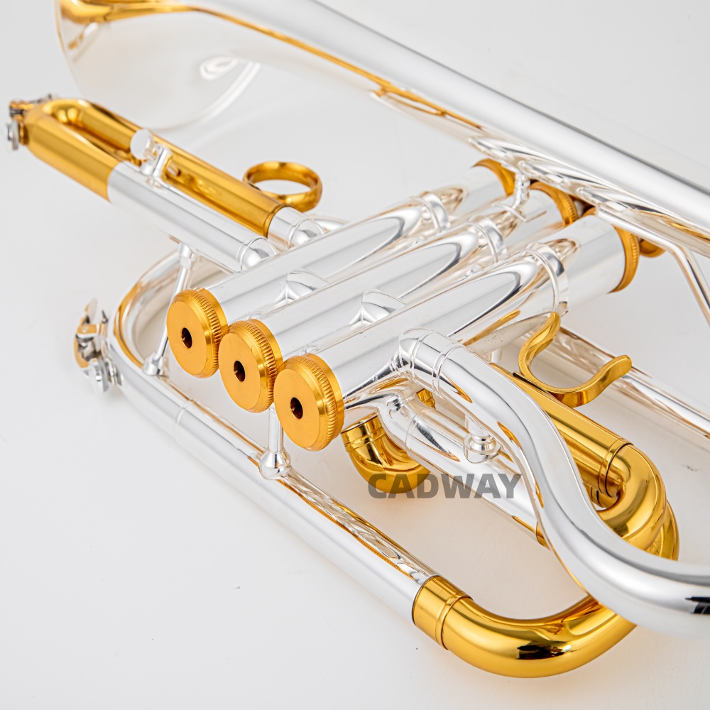 Trompeta Cornet Bb de Alta Cal - Musical Instrument Cornet reseña y precio