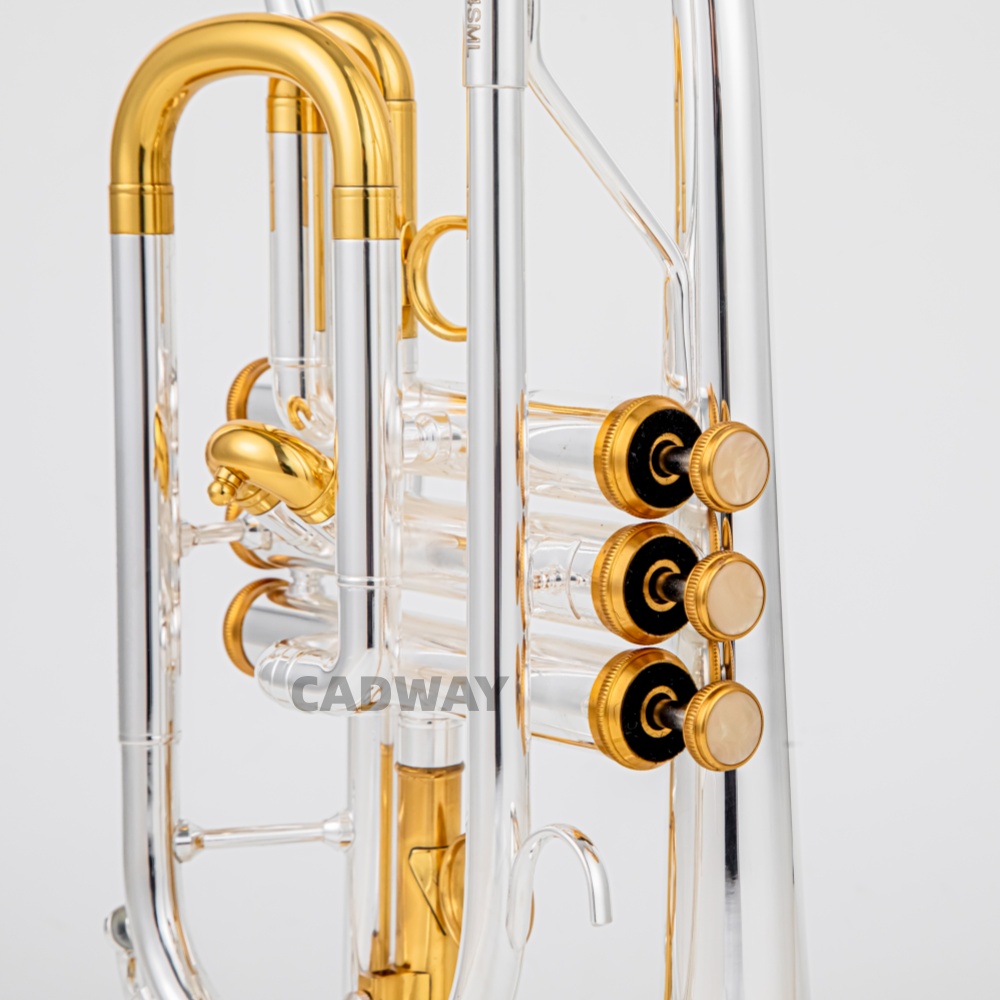 Trompeta Cornet Bb de Alta Cal - Musical Instrument Cornet reseña y precio