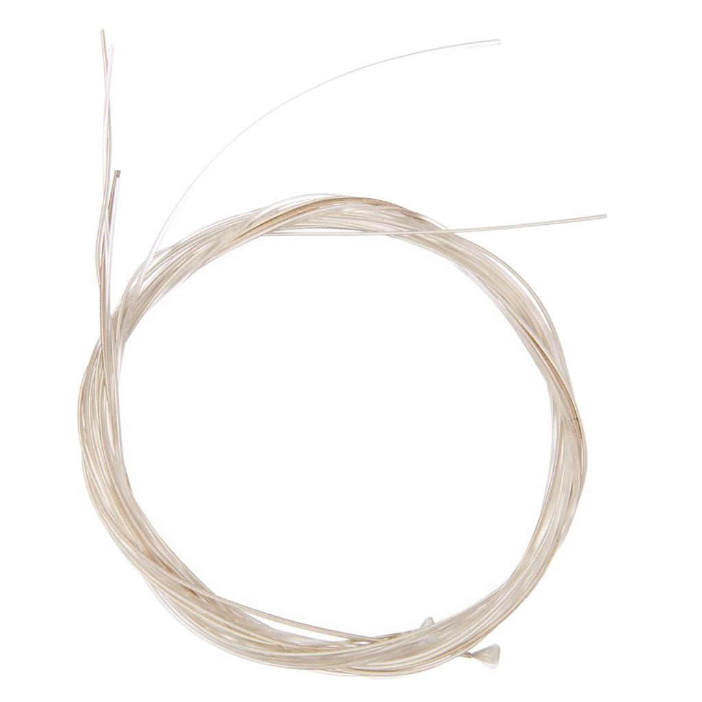 Cuerdas de Nailon para Guitarr - Classical Guitar Nylon reseña y precio