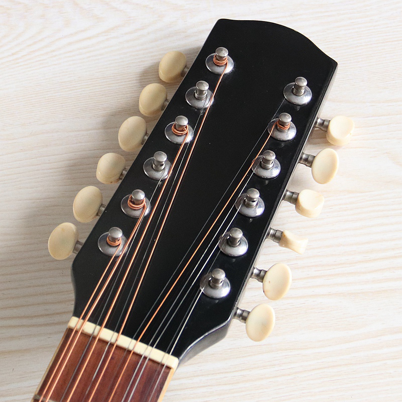 Guitarra Electroacústica de 12 - Dobro Resonator Guitar reseña y precio