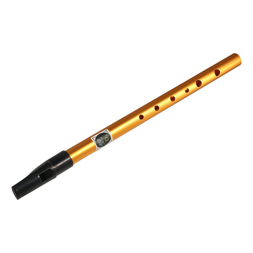 Accesorios Musicales, Flauta I - Musical Instrument Irish reseña y precio