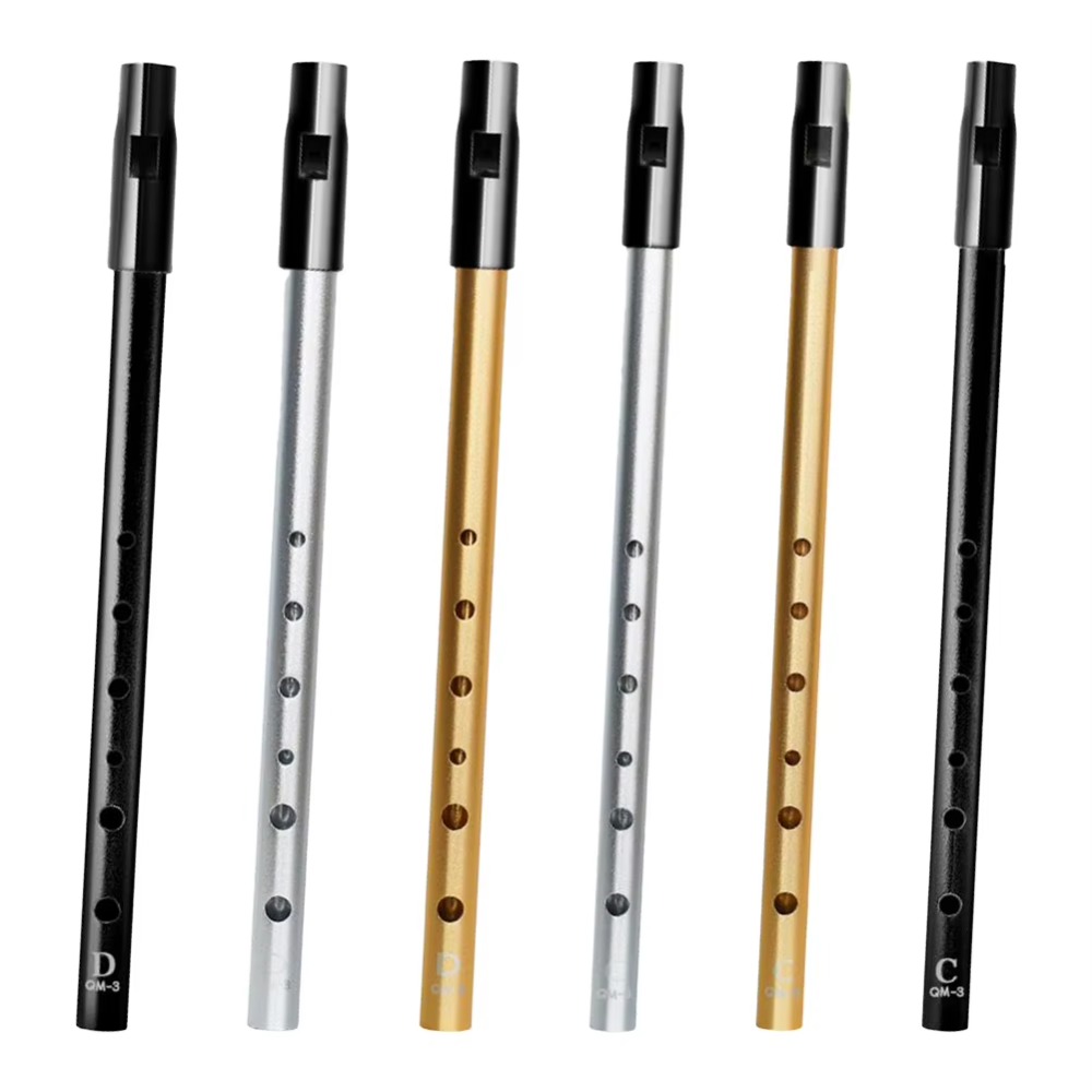 Flauta Irlandesa Tin Whistle e - Musical Instrument Irish reseña y precio