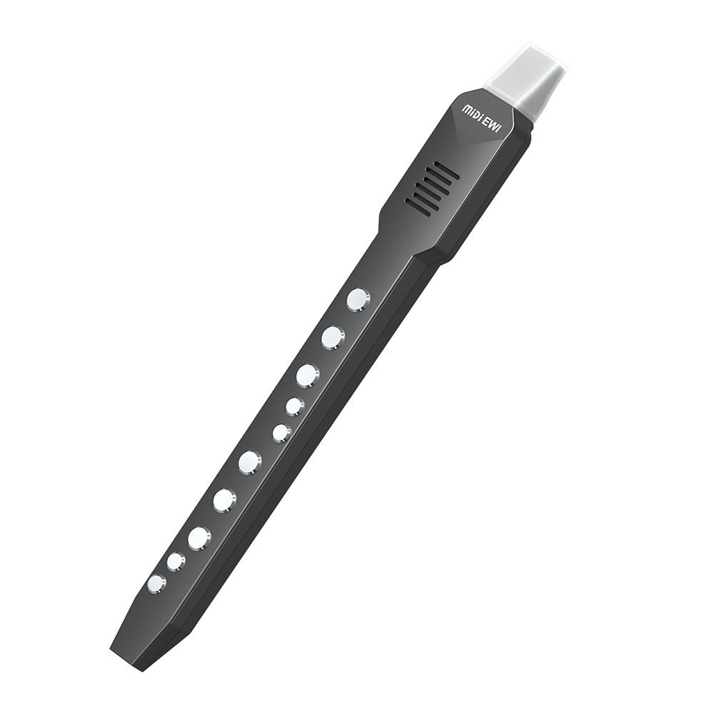 Flauta transversal pequeña, fl - Musical Instrument Irish reseña y precio