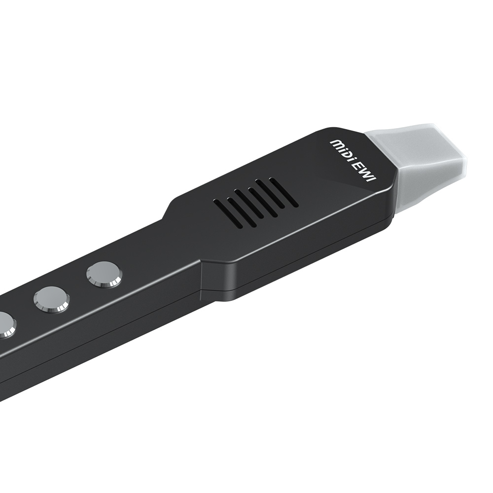 Flauta transversal pequeña, fl - Musical Instrument Irish reseña y precio
